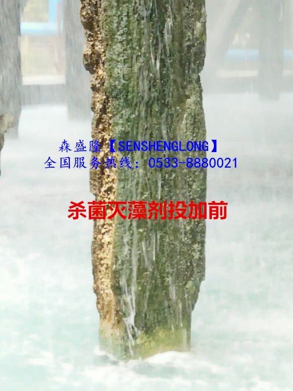 殺菌滅藻劑SM305氧化性殺菌高效