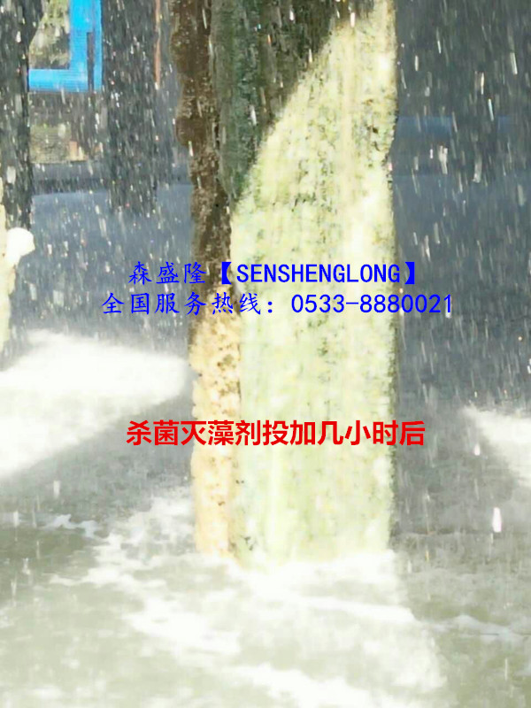 殺菌滅藻劑SM305氧化性殺菌高效