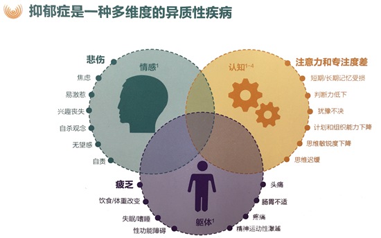 北京醫(yī)學會抑郁障礙醫(yī)學分會供圖