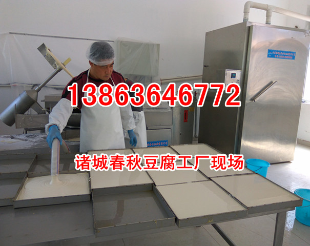 千頁豆腐加工設(shè)備，普英千頁豆腐生產(chǎn)制造機(jī)器