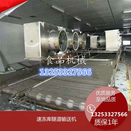 鄭州速凍隧道生產(chǎn)廠家/餃子速凍流水線設計安裝