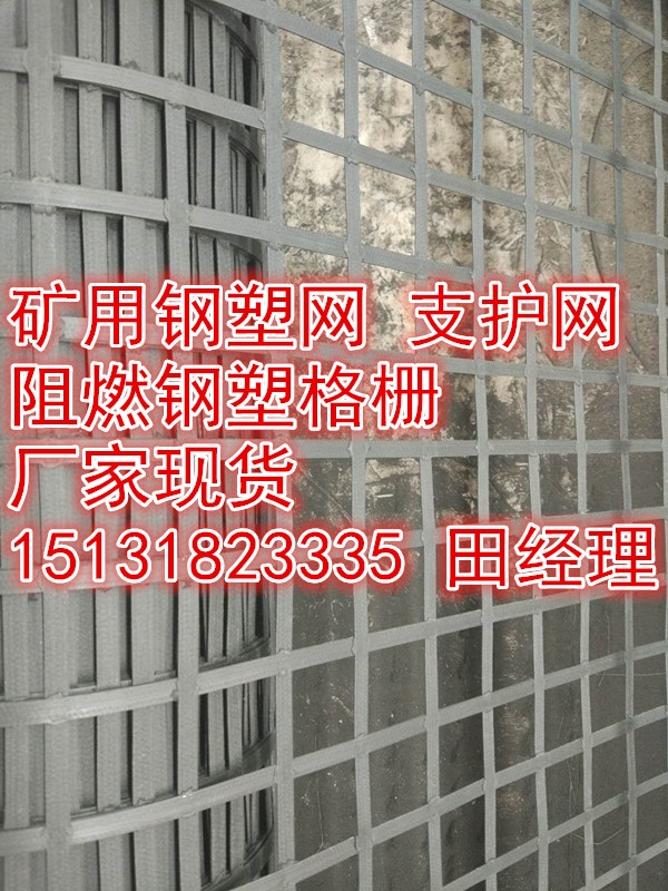 礦用鋼塑復(fù)合網(wǎng)，鋼塑土工格柵廠家