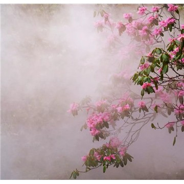 中國·北京2020旅游景區(qū)景點(diǎn)展覽會(huì)即將盛大啟航