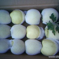 陜西冷庫(kù)酥梨價(jià)格，冷庫(kù)紙袋碭山酥梨批發(fā)價(jià)格