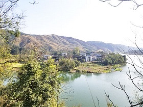 浙江眾扶農(nóng)業(yè)，湖州眾扶發(fā)展，浙江眾扶農(nóng)業(yè)，湖州茶園加盟